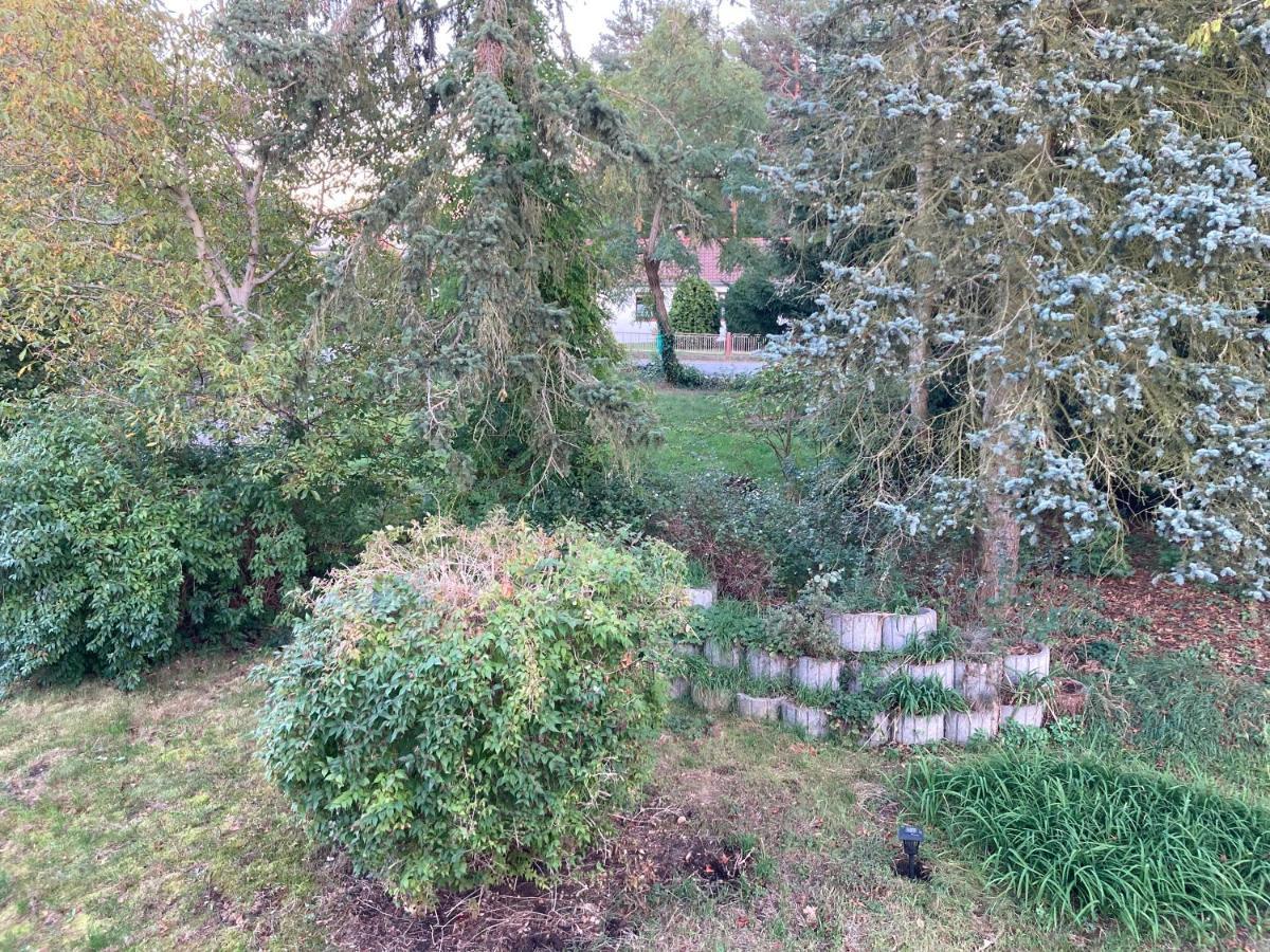 Gaestehaus Lauerwald Appartement *